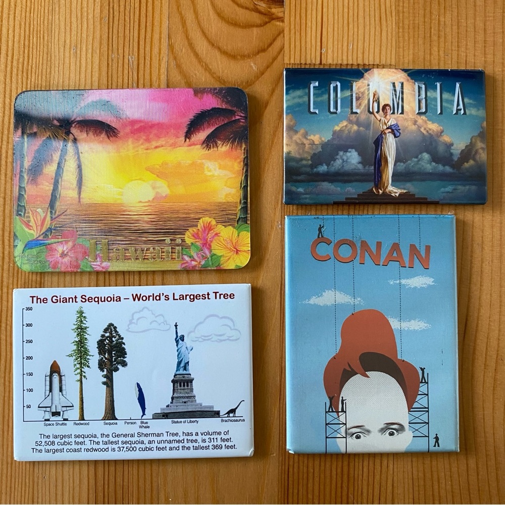 NWT Authentic Magnet Bundle